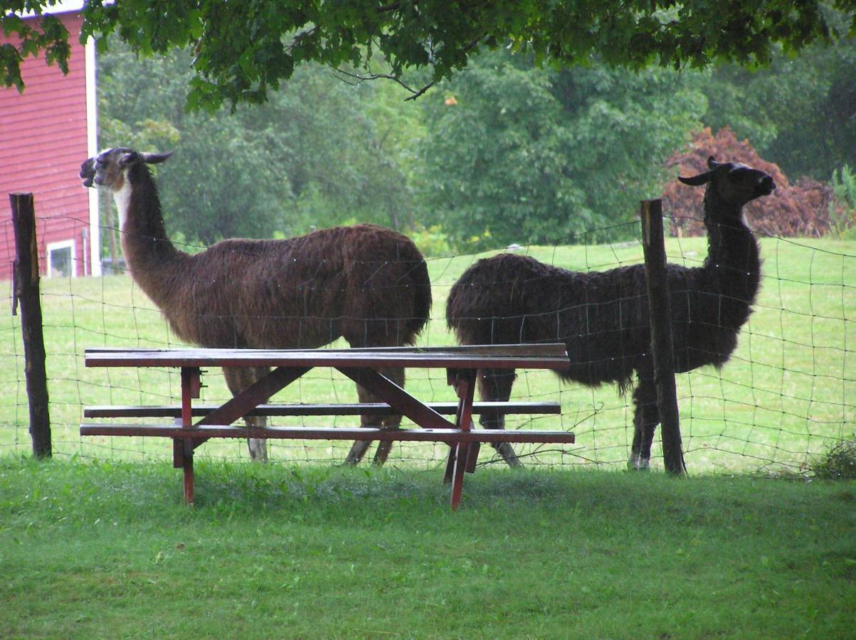 Maple Hill Farm Inn Augusta Eksteriør bilde